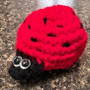 Crochet Ladybug 🐞